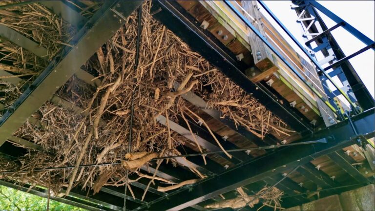 Screenshot 2024 01 31 at 3.03.16 PM 768x432